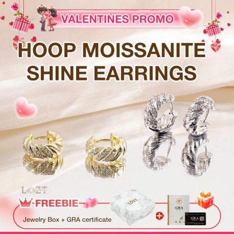 Hoop Moissanite Shine Earrings