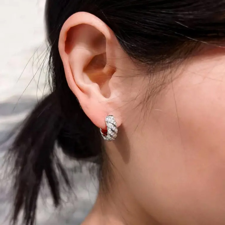 Womens Day Promo -Hoop Moissanite Shine Earrings - Comes with a custom jewelry box